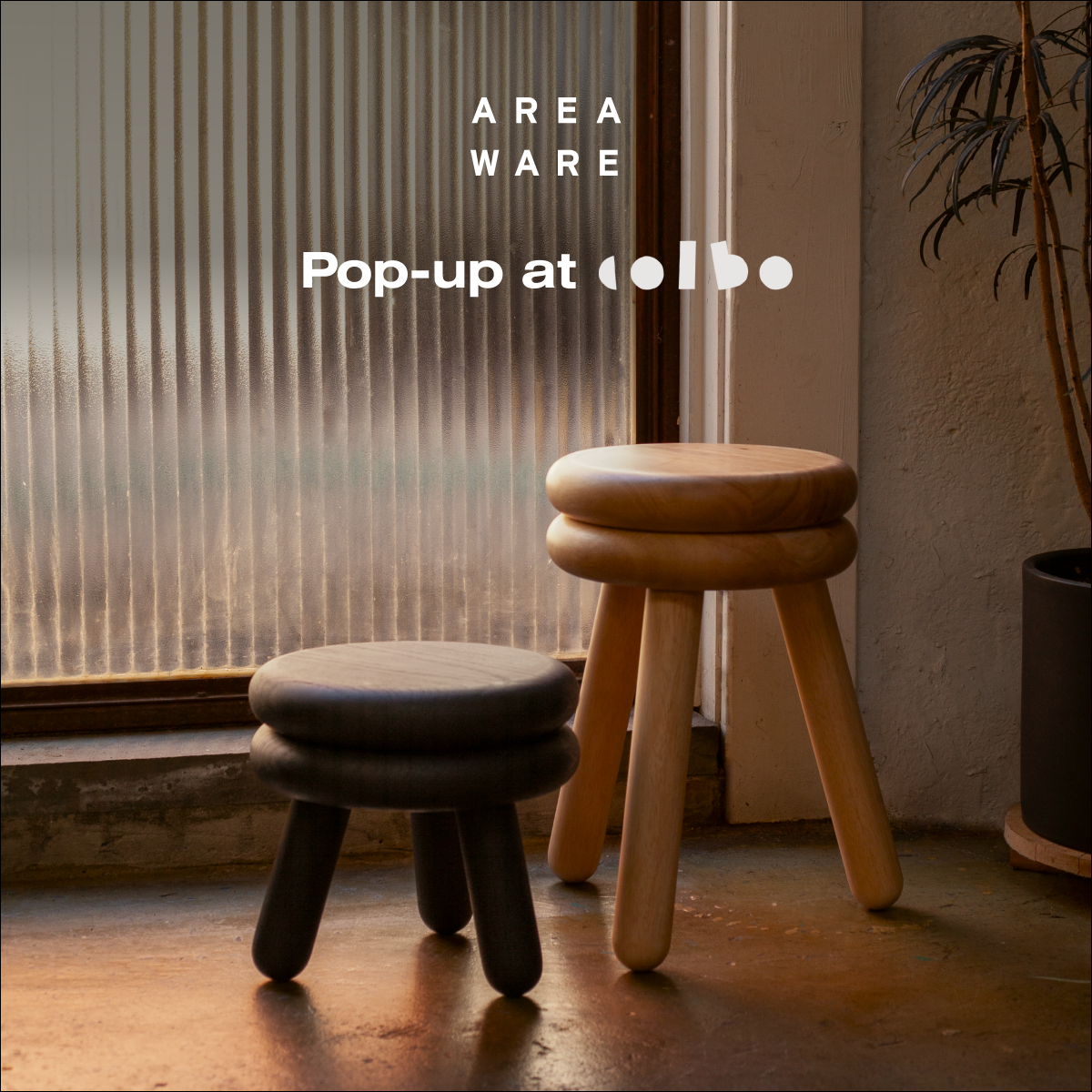 NYCxDesign Week: Areaware Pop-Up at Colbo